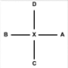 Choi-yong pattern diagram